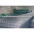 Hot sales galvanized welded Wire Mesh panel